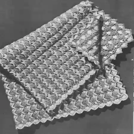 Reversible Shells Afghan