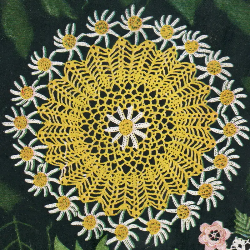 Enlarged Daisy Doily Pattern